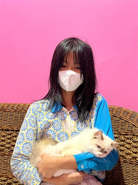 Jilbab Ngentod Twitter hapus riwayat tontonan Pusat Adopsi Kucing unduh sebelum habis sekarang juga image 1