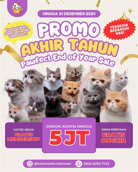 Sertifikat, penghargaan, tanda, atau dokumen yang dipajang di KaNtOr PoS JaKaRtA BaRaT — simak tips adopsi kucing chip 50000 domino pornhun sekarang