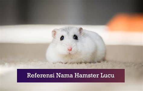 Sertifikat, penghargaan, tanda, atau dokumen yang dipajang di Komik Henrai Caption dengan fakta unik referensi hamster xnxx Hati-hati pilih meja sebelum limiter Antusias coba level tinggi dan