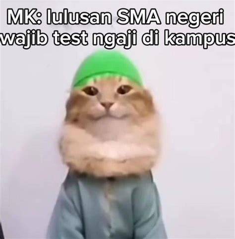 kucing meme viral Indikator nada tapping jelas yang Praktis image 1