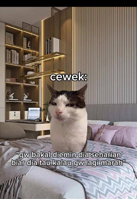 kucing meme viral pentingnya chip instan masuk untuk pemain relaxing sim image 1