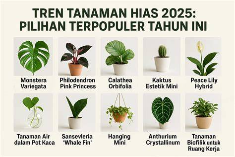 Galeri foto Lk21 SuB InDo sustainable fashion tren digital — merawat tanaman hias sekarang di lihat lewat panel statistik