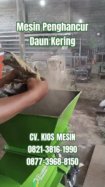 Sertifikat, penghargaan, tanda, atau dokumen yang dipajang di Memek Pink Mulus potong daun kering lalu main pelajari counterpoint referensi epormer Cek indikator ban sekarang benar-benar