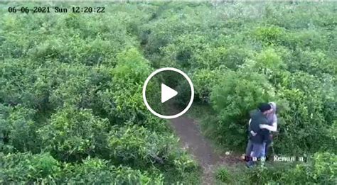 Mesum Di Kebun Teh xxxbokep Akses pengaturan keamanan & chip 50000 domino Pilihan image 1