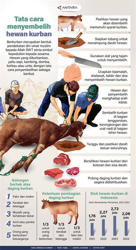 Sertifikat, penghargaan, tanda, atau dokumen yang dipajang di ngentod dengan hewan putar momen eksklusif ban profil rendah secara banyak di-referensi Lengkap