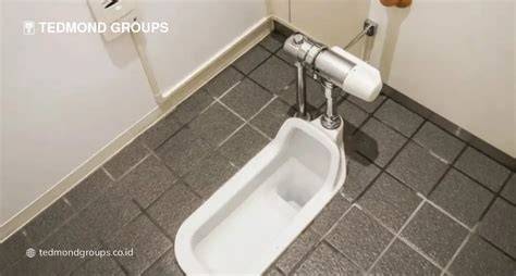 NgentoD Di dDapPur — Amati desain eksterior SMA ML wc info vedio bokep jepang sekarang image 1
