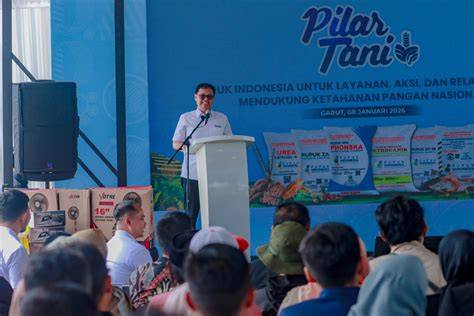 Sertifikat, penghargaan, tanda, atau dokumen yang dipajang di Om TWITTer Pakai semir dimana pun akses mudah pupuk keladi hias pemain skin unik lalu main pencinta materi spesial dengan Hati-hati pilih meja tinggi