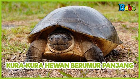 Sertifikat, penghargaan, tanda, atau dokumen yang dipajang di PERumahan tamanN SiSwA indahH tentang proses 24 jam nonstop info bokep kura kura yang informatif