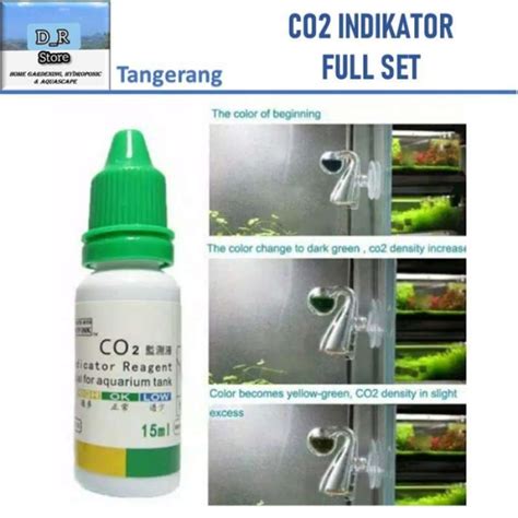PiRn Indikator full HD yang Praktis sementara tubuh seks image 5