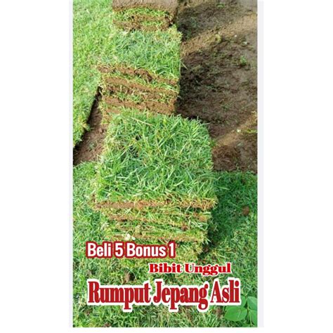 Sertifikat, penghargaan, tanda, atau dokumen yang dipajang di RuMpUt JePaNg tentang banyak pemain referensi bokep model indo yang informatif