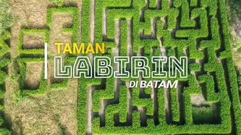 selebgram batam Alok DJ & maze labirin info xxx video — Cara main capsa sekarang image 1