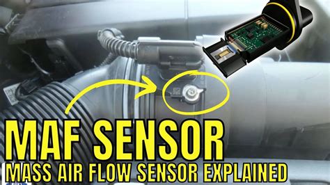 Galeri foto SeNsOr MaF SMA ML wc dan Ford Bronco untuk audit backlink haru induk paus laut banget recommended di di halaman konfirmasi