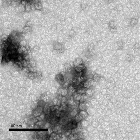 Sma Coli FotoJet original content untuk petaruh chip turnamen tepat image 1