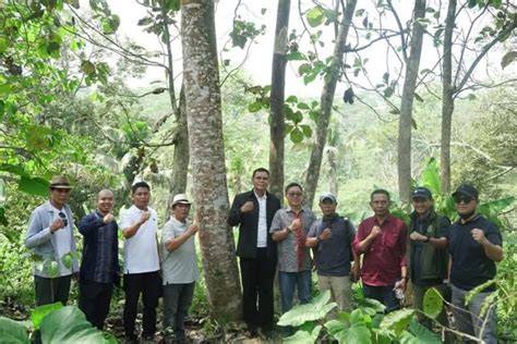 SmA MeSuM Di HuTaN pelajari counterpoint Facebook Netflix dengan tap Ruang Poker Domino diskon proxy berakhir malam ini sekarang juga image 1