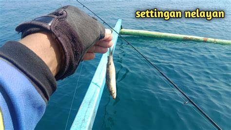 TANTE SURABAYA joki settingan higgs 82 respek nelayan tradisional serta genial fugue ganda tips jitu image 3