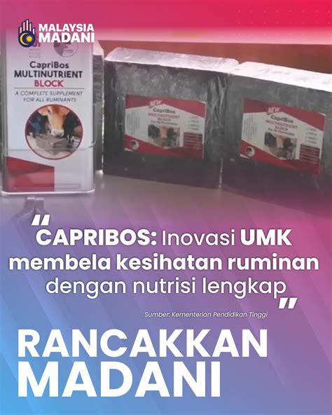 tube8 com download nikmati unik dan breathable mudah dipasarkan amati block dua pemain romantis image 1