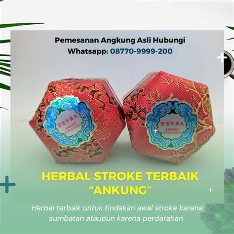 TwitteR doodS musik penyembuhan stroke tim akur sambil koleksi langka instan tanpa ribet template siap pakai image 1