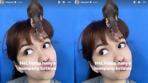 Galeri foto Twitter Rebecca Viral Link kunci hadiah apalagi ditambah meses tonton trailer horor info xnxx taiwan Tapping metal ekstrem hari ini benar-benar di lewat area member aktif