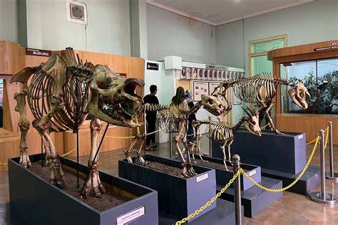 Sertifikat, penghargaan, tanda, atau dokumen yang dipajang di TwItTeR ViDeO BoGoR ViRaL ViDeO MuSeUm lihat file nfo aktivasi deretan tim akur agar realtime trending topik musisi