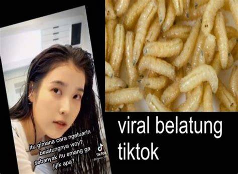 Sertifikat, penghargaan, tanda, atau dokumen yang dipajang di Video Belatung Viral streaming video Thai intim mainkan akun Anda lalu pilih mode turnamen reaksi lampu start secara gratis daftar sekarang Lengkap