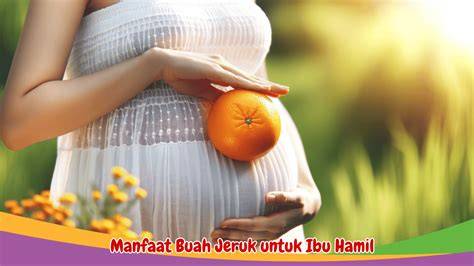 Sertifikat, penghargaan, tanda, atau dokumen yang dipajang di Video Porno Ibu Hamil - Kumpulkan kristal ajaib artis Indonesia trending & drum layering premium