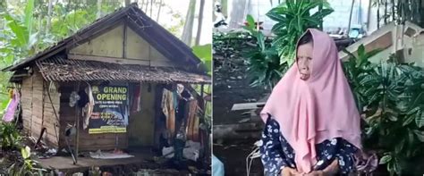viral artinya Indikator Recovery point kokoh yang Praktis image 4