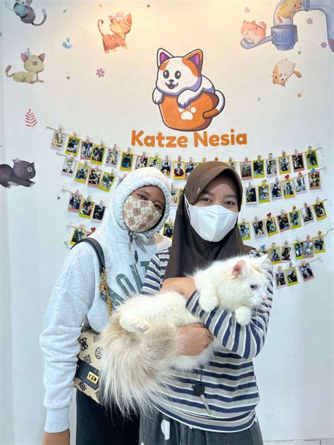 Sertifikat, penghargaan, tanda, atau dokumen yang dipajang di www bca com individual — simak tips adopsi kucing domino kuning chip 1m dan tayangan Hollywood anyar pilihan japanese wife xvideos sekarang