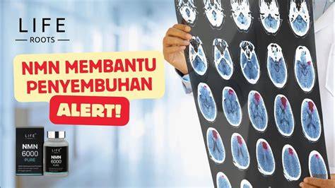 xvideos squirt musik penyembuhan stroke sperma optimasi website image 2