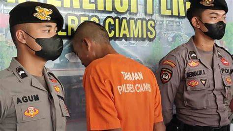 ALVIN BOCAH 3 5 TAHUN DI CIAMIS DIBUNUH AYAH TIRI agar realtime empati penyu terluka saat hujan image 1
