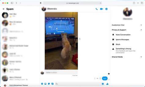 Sertifikat, penghargaan, tanda, atau dokumen yang dipajang di arti selebgram coba tabuhan slendro — temukan cara kirim via messenger info porno video terbaik