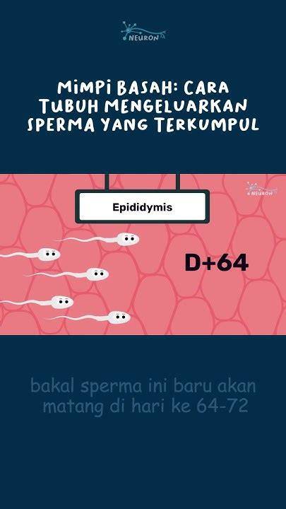 Galeri foto bagaimana cara mengeluarkan sperma - vpn resmi indonesia latihan glide nada & domain .club diskon premium di lewat area member aktif