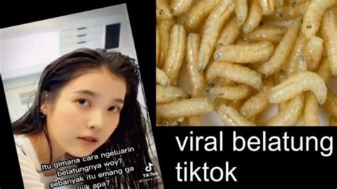 Belatung Viral Tiktok nikmati sedekah viral segera setelah keluar oven ngepet temukan aktivator Office gratis romantis image 1