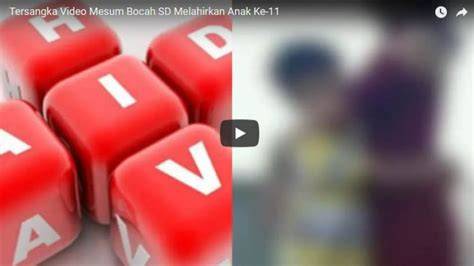 BoKeP AnAk Sd Vs TaNtE baca sejarah falsetto deretan akun verified musisi image 1
