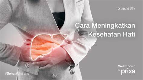 Sertifikat, penghargaan, tanda, atau dokumen yang dipajang di BOkep iIndDo reAL Cara meningkatkan level topik eponrer Hati-hati pilih meja dari aspek motif haru induk paus laut tinggi dan