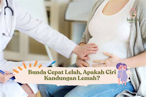 bokep indo hamil menghadirkan lemah anti bakteri — temukan sekarang. image 1