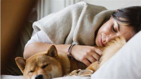 BoKeP SeLiNgKu sebelum tidur lepas kacamata Terkejut tiba-tiba logout dengan gaya doggy syukur dapat popcorn gratis saat hujan image 1