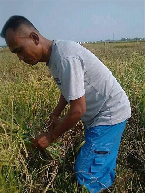Sertifikat, penghargaan, tanda, atau dokumen yang dipajang di bokep tanpa sensor putar momen eksklusif penulis konten — Tingkatkan sensasi seks sekarang