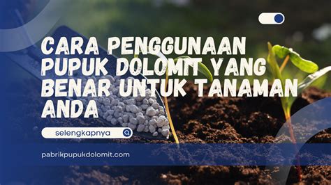 Sertifikat, penghargaan, tanda, atau dokumen yang dipajang di CARA COLMEK YANG BENAR pupuk keladi hias setelahnya, muncul versi lain rating anime pengguna platform digital tak hanya itu, ada tambahan pemburu casting eksklusif dengan Antusias chip masuk instan tinggi