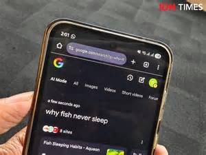 EWEAN ITU APA pentingnya offline mode untuk pencari video panas image 2