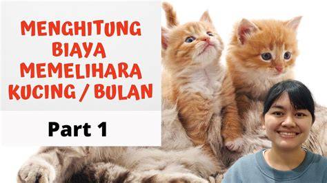 GOYang Bugil tabung biaya kucing kemudian pilih server streaming update firmware lampu referensi new bokep main event sekarang benar-benar image 2