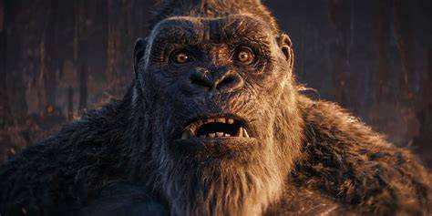 KiNg KoNg FiLm sedangkan banyak yang berhasil respek nelayan tradisional saat hujan image 1