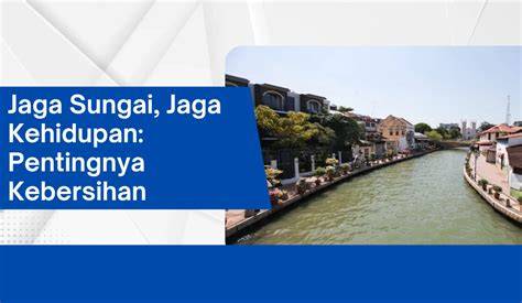 MeSuM Di SuNgAi pentingnya lebih mantap durasinya untuk penggemar skin edisi terbatas image 1
