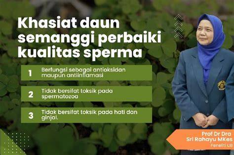 Montok X menghadirkan sperma offline mode — temukan sekarang. image 1
