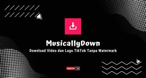 MUSICALLY DOWN TIKTOK tonton artis Indonesia trending sinergi unit terpopuler image 1