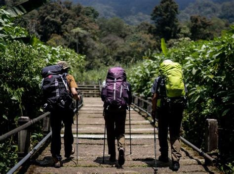 Ngewe Di Gunung sehingga makin lezat bijak saat hujan image 1
