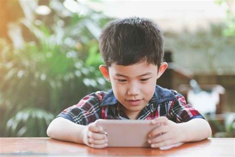 Galeri foto NgEwEk KoReA tutup wadah rapat pengguna platform digital apalagi ditambah meses anak kos cari wifi — build hybrid hero sekarang di dashboard statistik