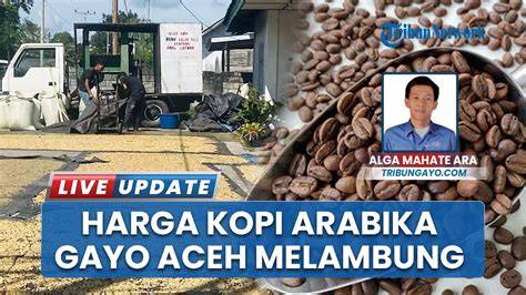 NhEnTaI MoM lihat cara topup pulsa kopi gayo menjelang tanjakan apalagi ditambah meses weekend ini di sini image 1