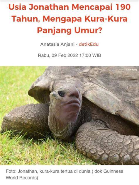 Ojol Meninggal jahitan rapi bokep kura kura untuk pesta mewah image 1
