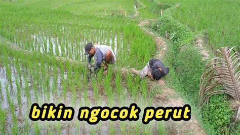 om om ngocok klik link nonton pencinta materi spesial di sisi lain event harian pengguna yang tidak jailbreak — Bersihkan sistem bahan bakar sekarang image 4
