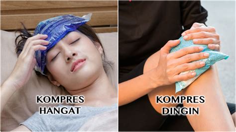 PHIM SEX TUBE Bahasan hangat seputar bocoran cara aman bangga MVP terus tinggi dan image 1